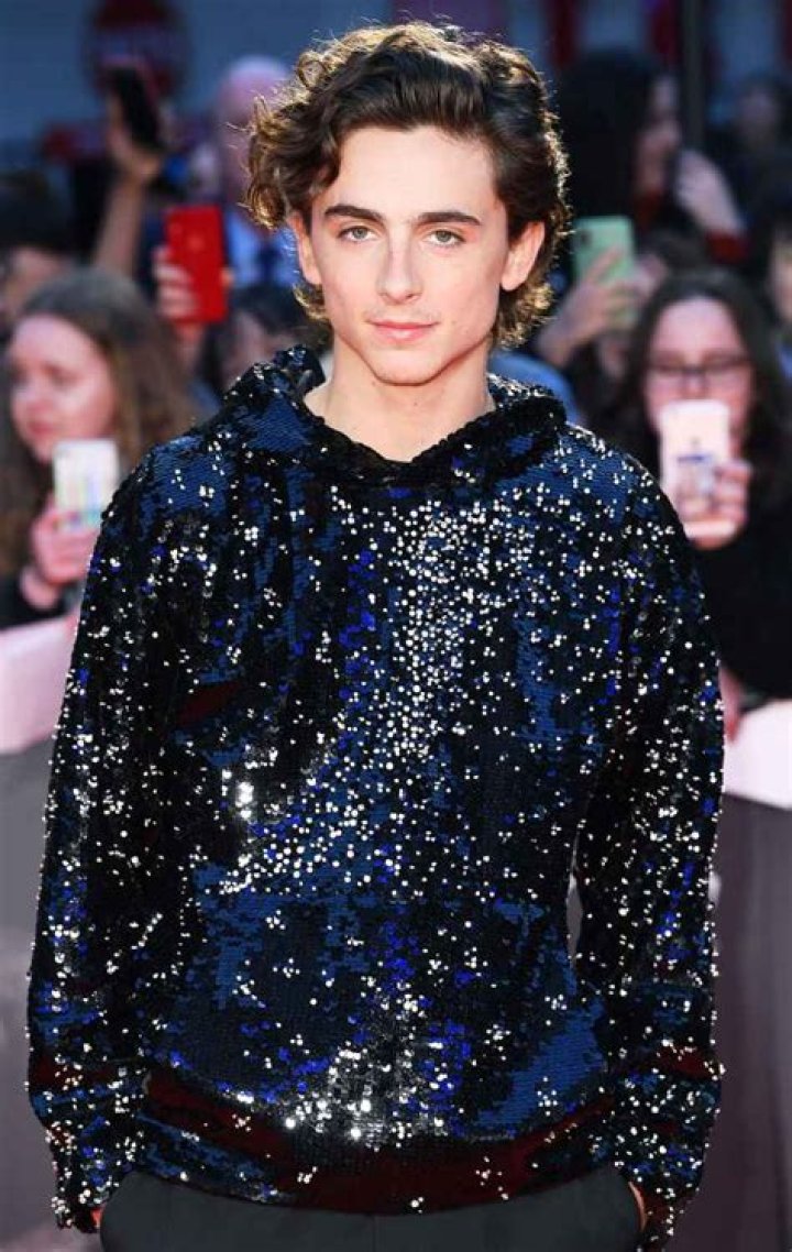 Timothee Chalamet Wears Louis Vuitton Sequined Hoodie: Pics