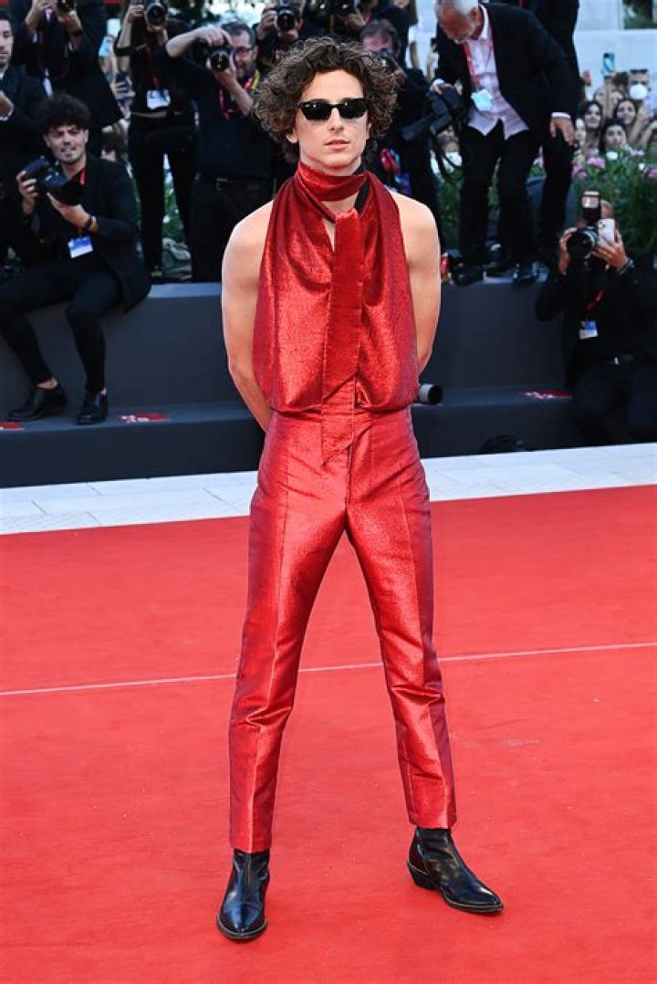 Timothee Chalamet’s Best Red Carpet Fashion: Pics