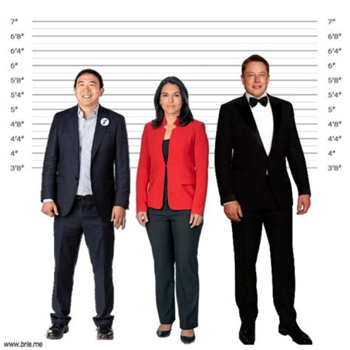 Tulsi Gabbard Age And Height: A Comprehensive Look At The Political Figure