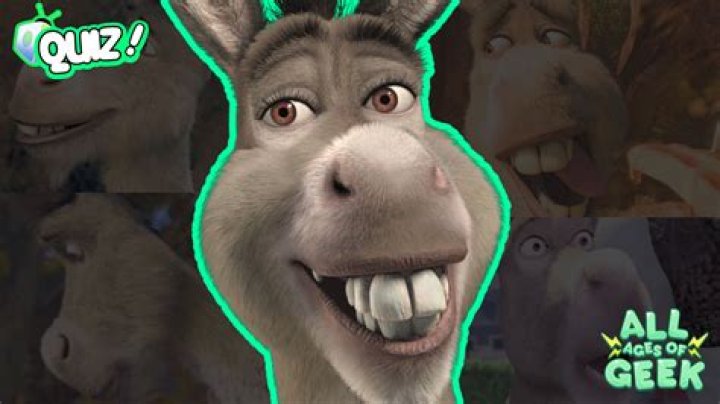 I spent 15 hours at the dentist in Turkey... I had EIGHT root canals & after all that I look like the donkey from Shrek