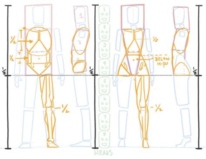 Unveiling Tyla's Body Proportions: A Closer Look