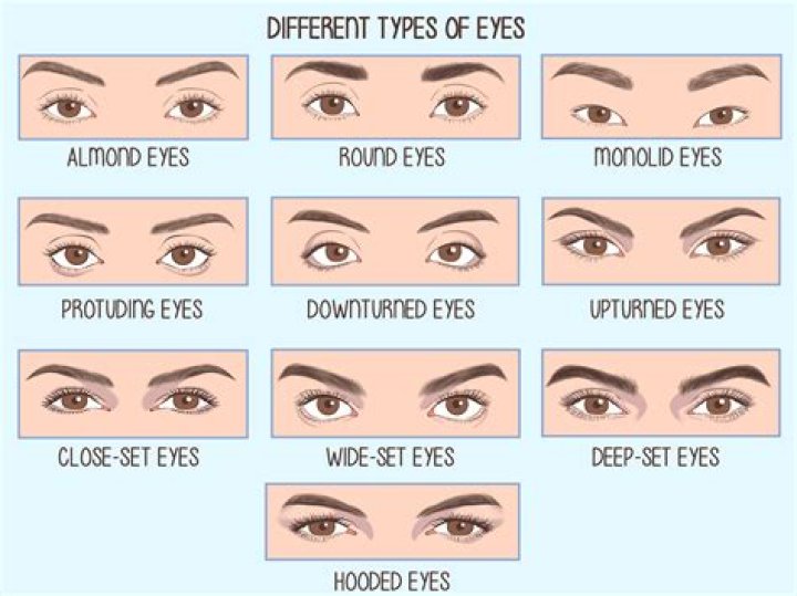 Exploring The Fascinating World Of Eye Types