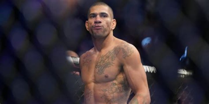 Understanding Alex Pereira His Language and UFC Journey