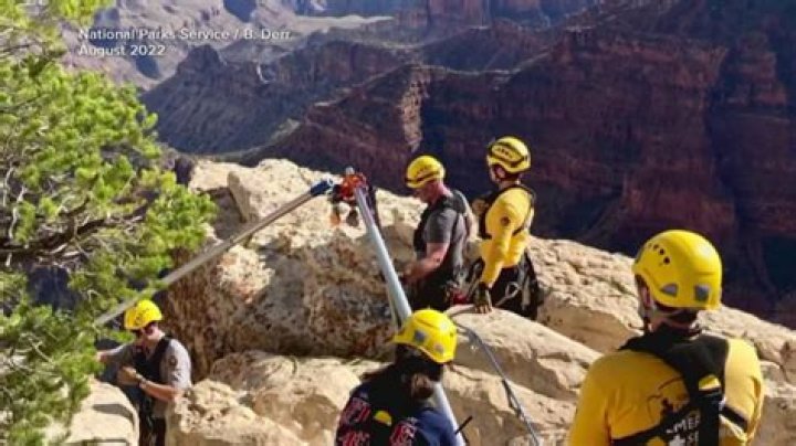 13-year-old boy miraculously survives after falling nearly 100-feet in Grand Canyon – India TV