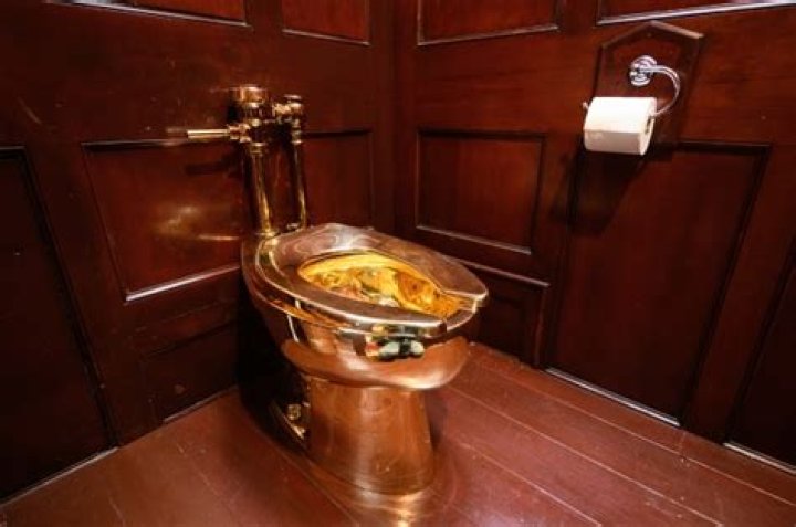 Major breakthrough in hunt for thieves who stole £5m solid gold loo from stately home four years ago