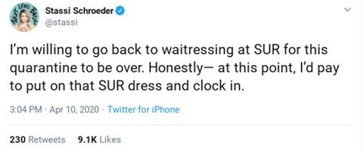 Vanderpump Rules’ Stassi slammed for saying she would even ‘go back to waitressing’ for quarantine to be over – The US Sun