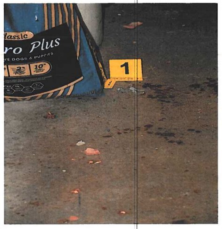 Vanessa Tripod Polaroids Photos Crime Scene Photos