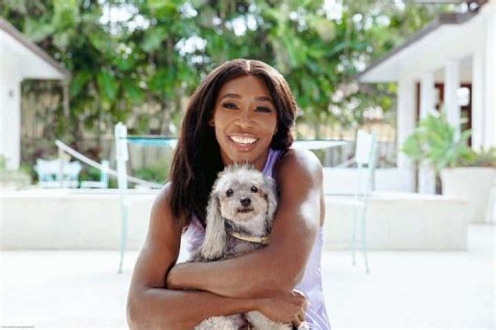 Venus Williams And Her Beloved Canine Companion