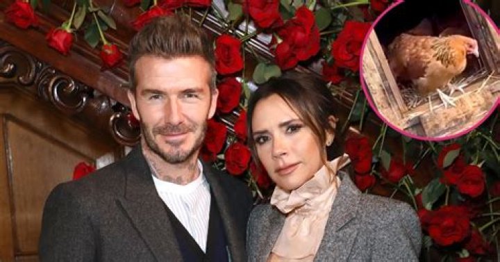 Victoria Beckham Gives David Beckham Chickens for Christmas