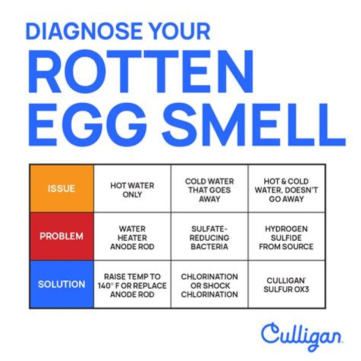 The smells you should never ignore - from fish warning of a burning kettle to rotten eggs indicating a gas leak