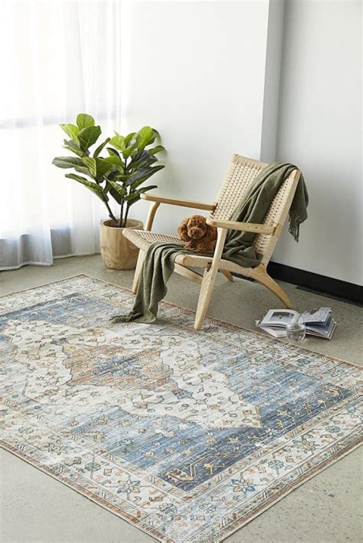 12 Best Washable Rugs That Can Handle Spills and Pet Hair