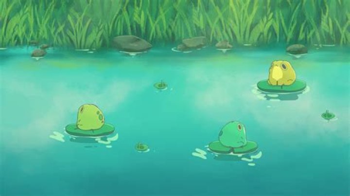 Live frog found swimming inside Japanese man’s noodle soup. Company issues apology – India TV