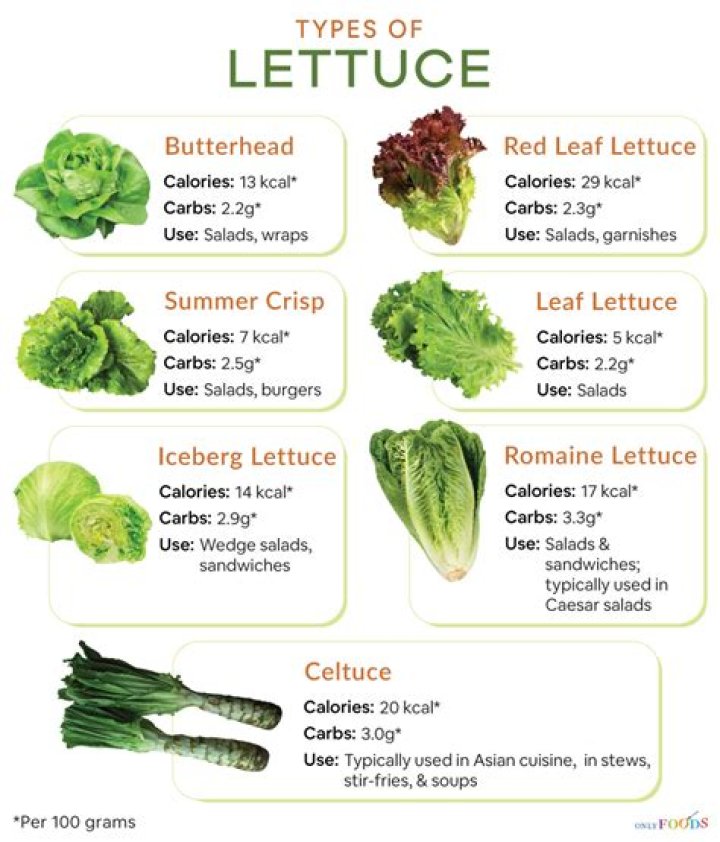 What Are Different Types Of Lettuce