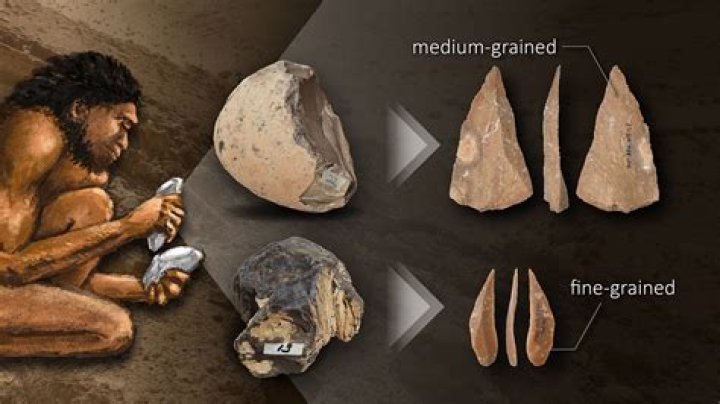 Quick Answer: What Are The 3 Main Characteristics Of Paleolithic Age