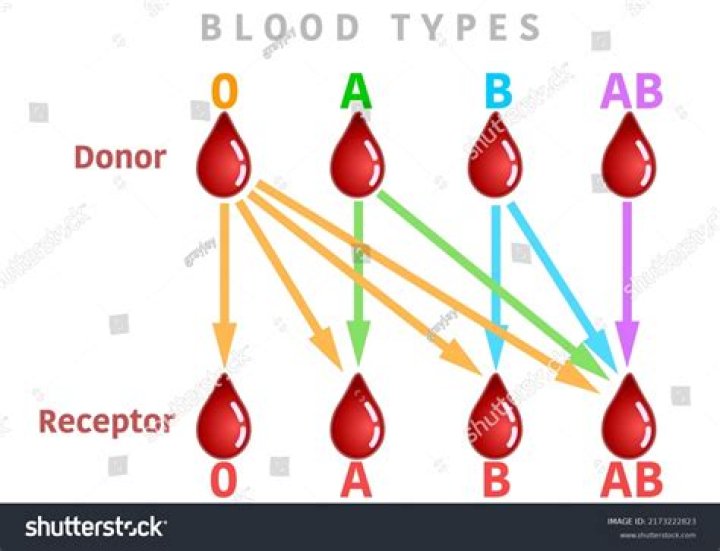 What Blood Type Are Native American