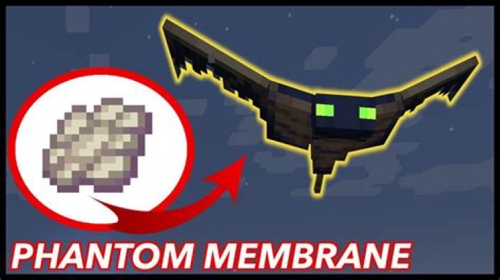 Question: What Can You Craft With A Phantom Membrane