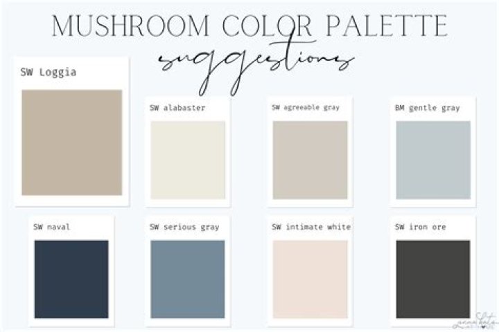 What colors go with mushroom color?