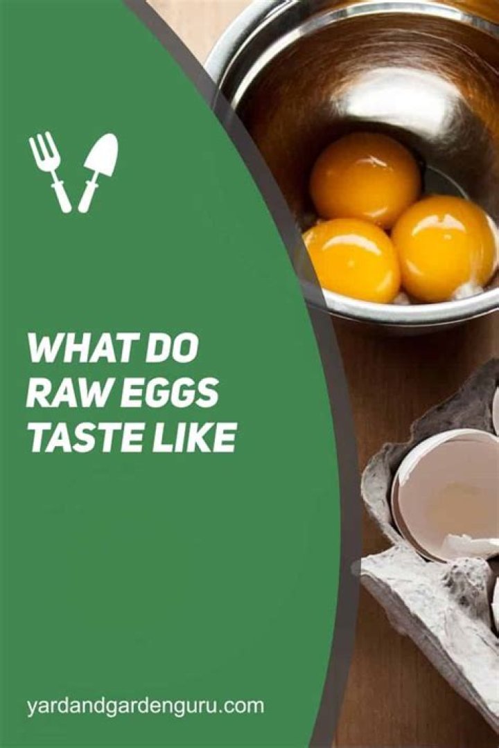 Question: What Do Raw Eggs Taste Like