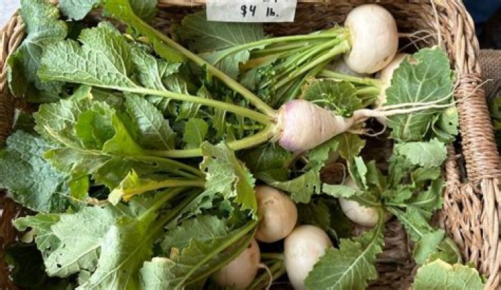 What Do Turnips Look Like