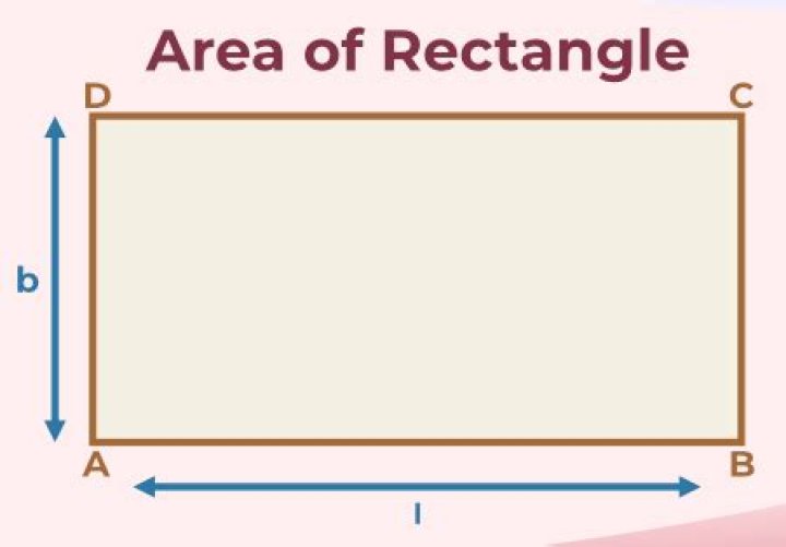 Quick Answer: What Does A Rectangle Look Like