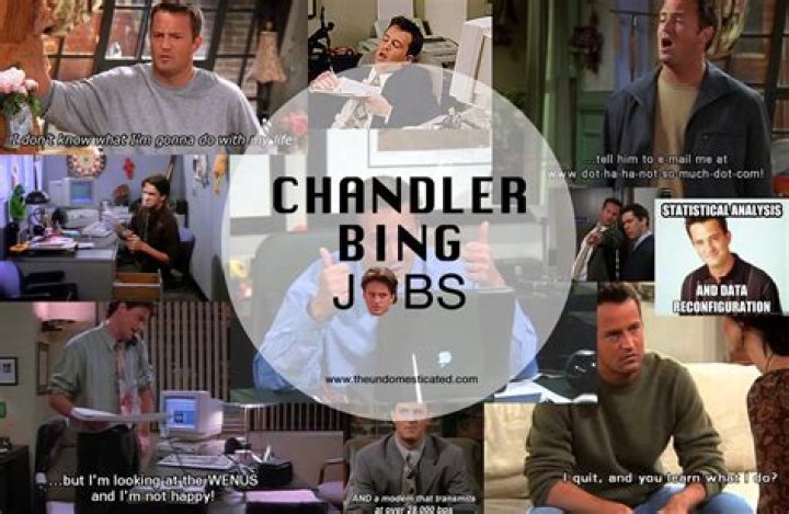 Question: What Does Chandler Bing Do For A Living