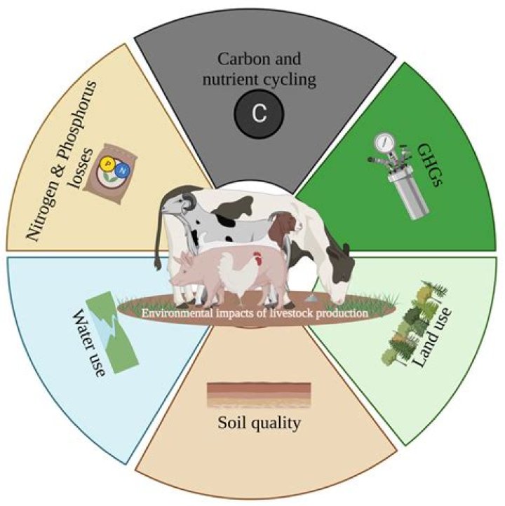 Question: What Does Factory Blemished Mean