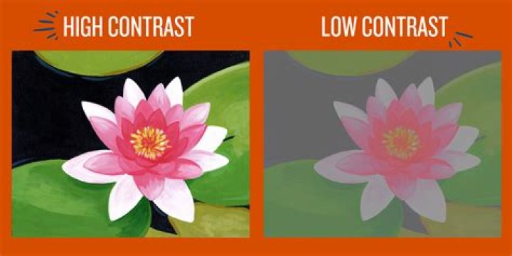 What Does High Contrast Mean In Art