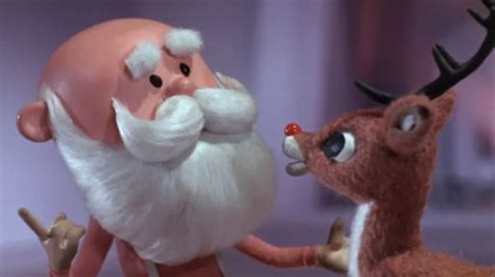 What Does Maya Rudolph's Brother Do?