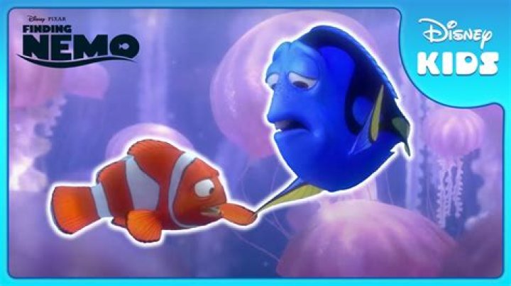 The Complete Guide: Uncovering The Meaning Behind "What Does Nemo"