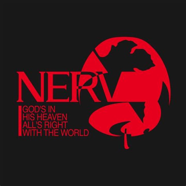 Question: What Does Nerv Stand For