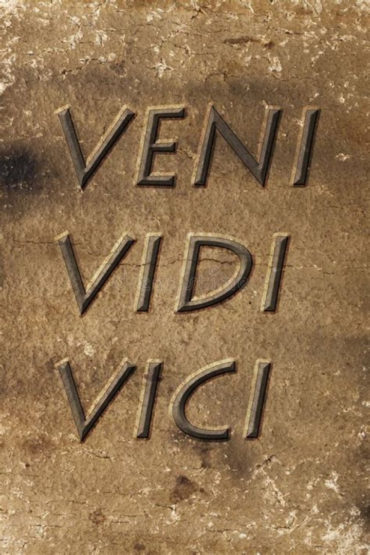 Question: What Does Veni Vidi Vici Mean In Italian