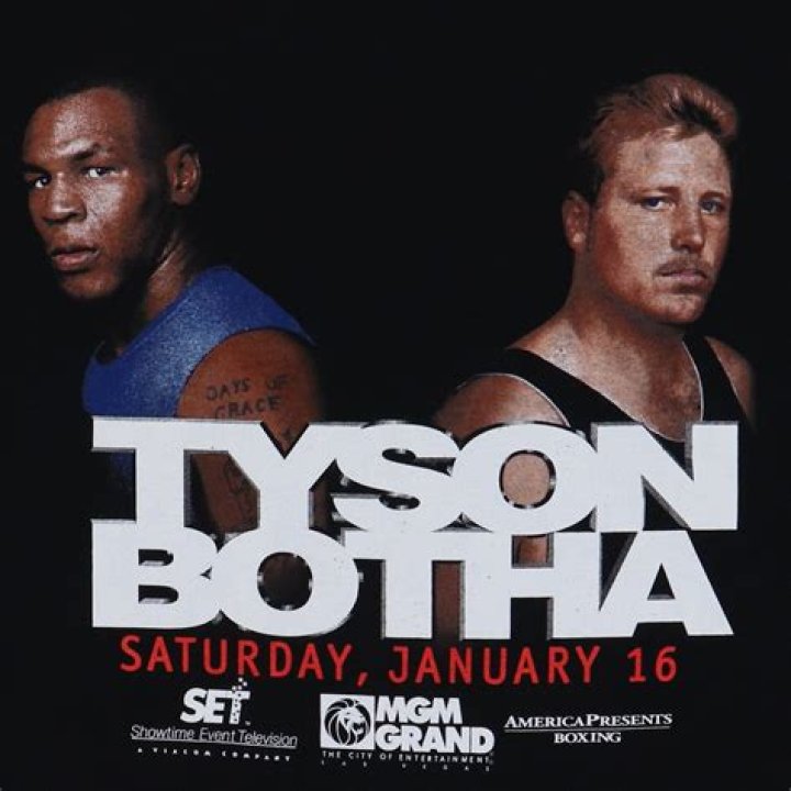 What Became Of Francois Botha After The Tyson Fight?