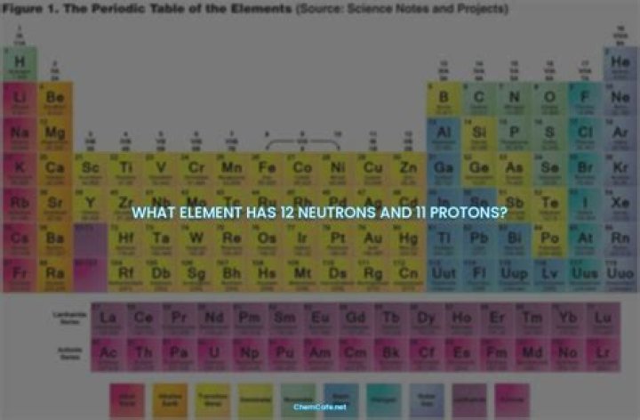 Question: What Has 12 Protons And 12 Neutrons