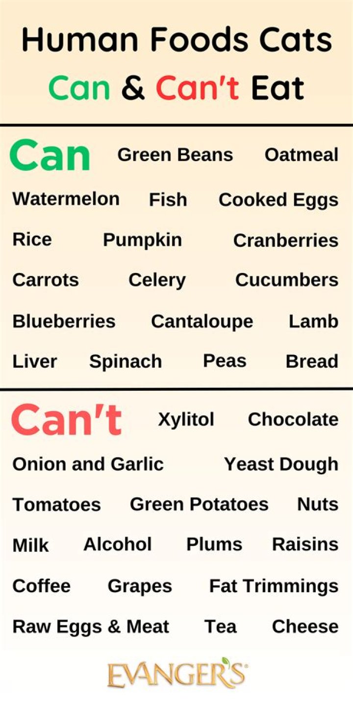 Question: What Human Food Can Goats Eat