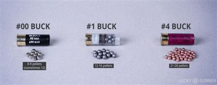 Question: What Is 00 Buckshot Used For