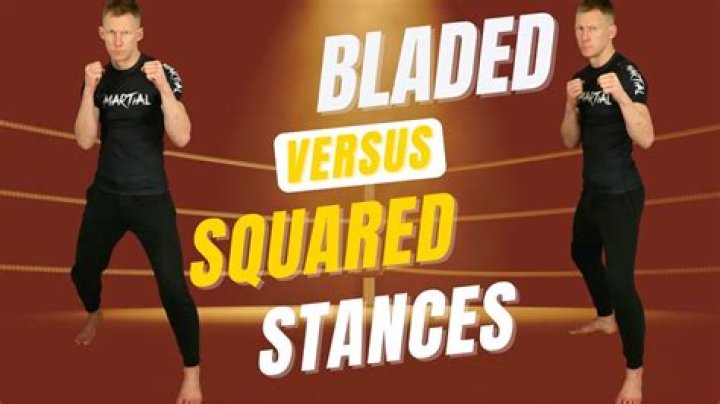 What Is A Crane Stance Is In The Martial Arts