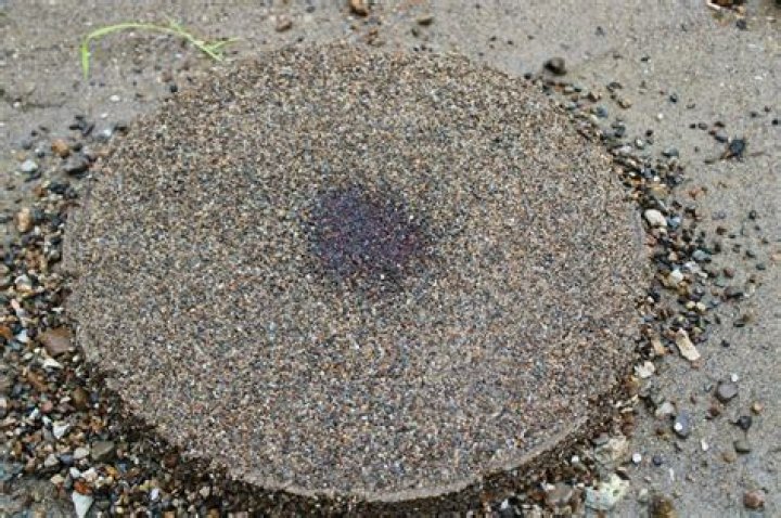 What Is A Saruca - Seniorcare2