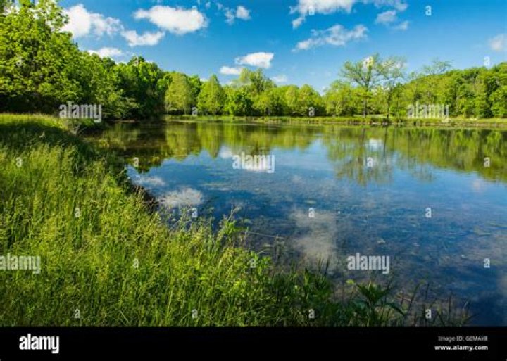 What is a spring fed pond?