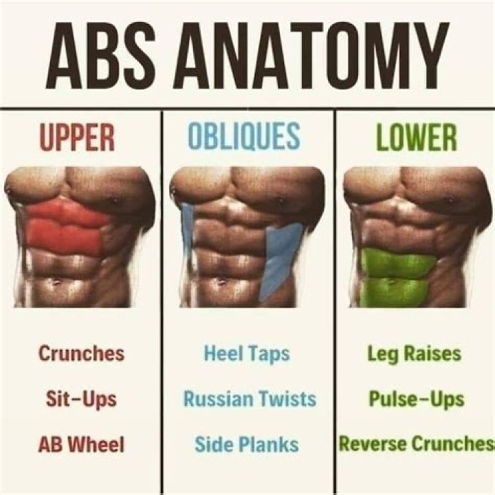Quick Answer: What Is Abs Short For