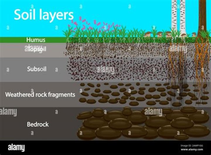 Quick Answer: What Is Beneath Soil