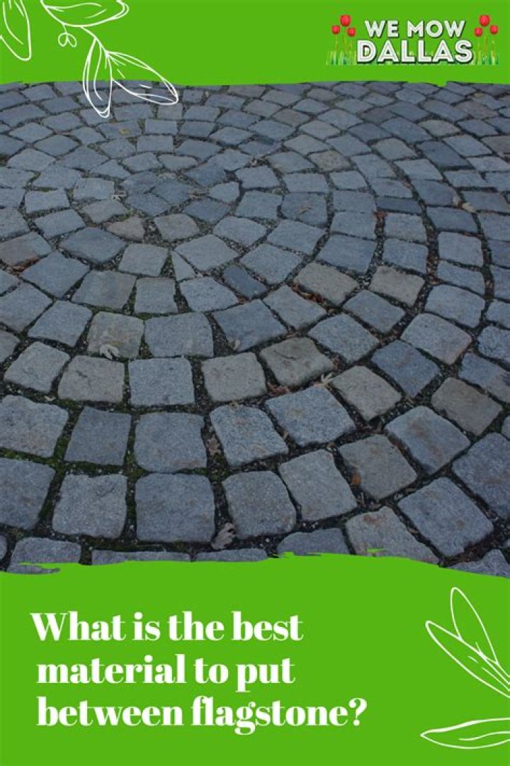 Quick Answer: What Is The Best Material To Put Between Flagstone