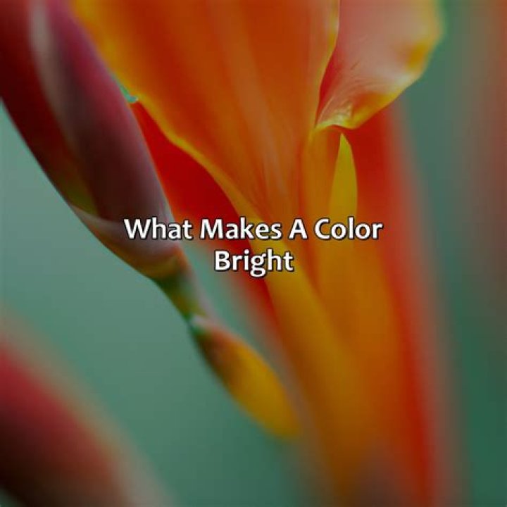 What Is The Brightest Color On Earth