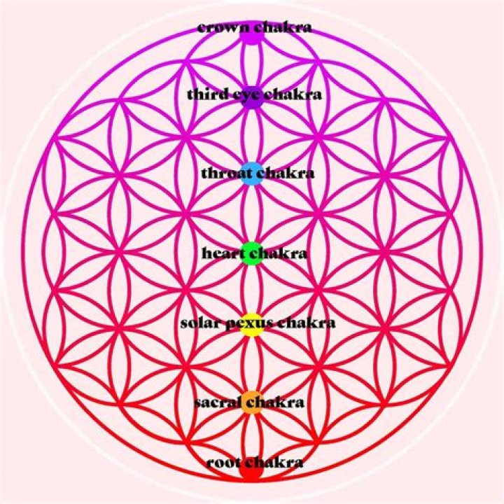 Question: What Is The Flower Of Life