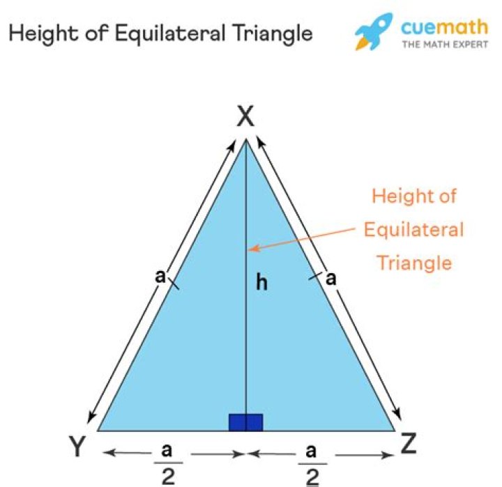 Quick Answer: What Is The Height Of An Equilateral Triangle