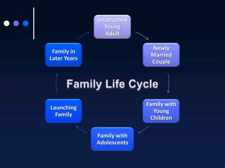 What is the launching stage of the family life cycle?