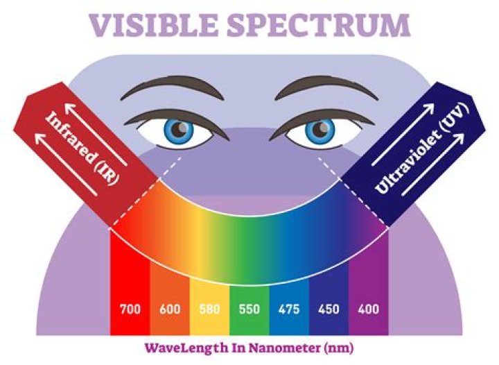 Question: What Is The Most Visible Color To The Human Eye
