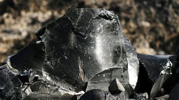 Quick Answer: What Is The Sharpest Natural Thing In The World