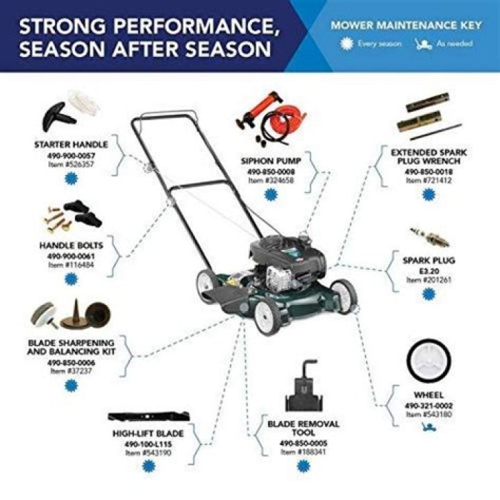 What kind of oil for Bolens push mower?