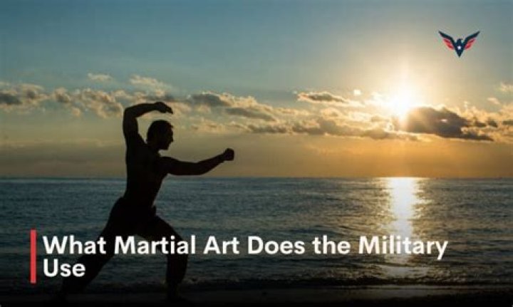 Question: What Martial Art Does Ty Lee Use