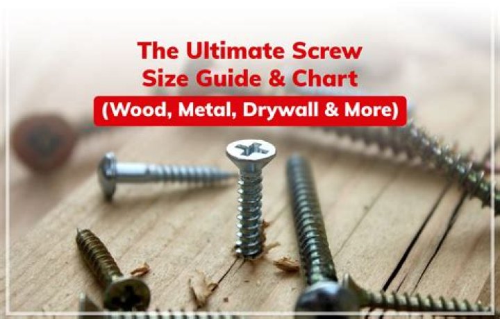 Question: What Size Screw For 3/4 Plywood